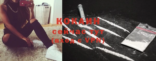 прущие грибы Бронницы