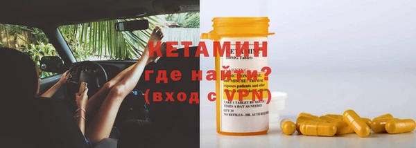 прущие грибы Бронницы
