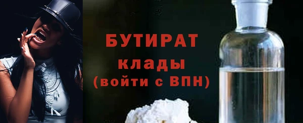 прущие грибы Бронницы