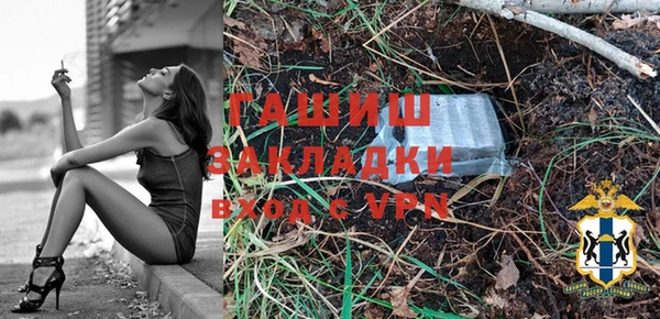 прущие грибы Бронницы