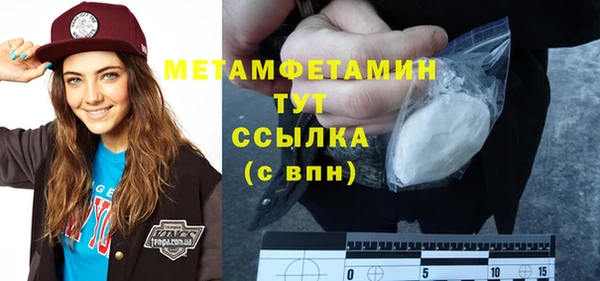 прущие грибы Бронницы