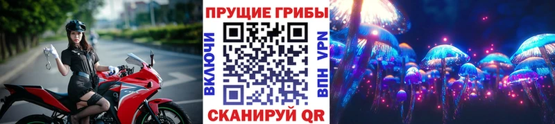 Галлюциногенные грибы прущие грибы  Дигора 